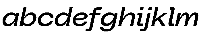 PolySansItalic NeutralWideItalic FONT