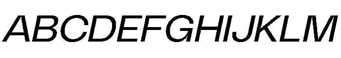 PolySansItalic SlimWideItalic Font UPPERCASE