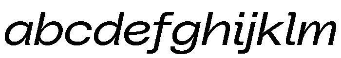 PolySansItalic SlimWideItalic FONT