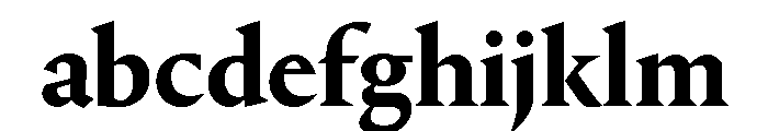 Portrait Bold FONT