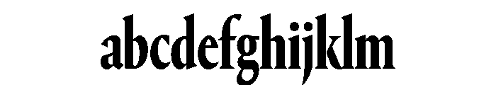Portrait Condensed Bold FONT