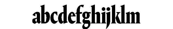 Portrait Condensed Heavy FONT
