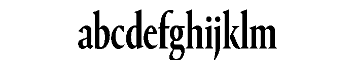 Portrait Condensed Medium FONT