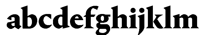 Portrait Heavy FONT