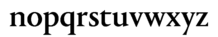 Portrait Medium Font LOWERCASE