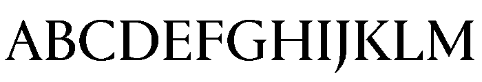 Portrait Regular No 2 Font UPPERCASE