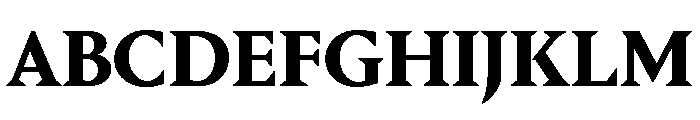 Portrait Text Bold Font UPPERCASE