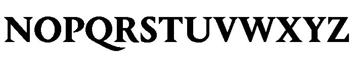 Portrait Text Bold Font UPPERCASE