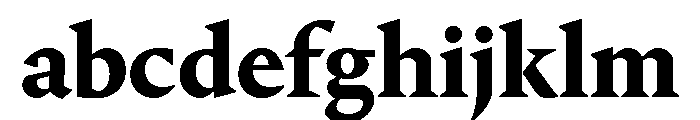 Portrait Text Bold FONT