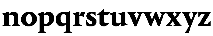 Portrait Text Bold Font LOWERCASE