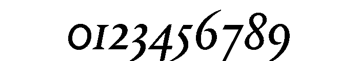 Portrait Text Regular No 2 Italic Font OTHER CHARS