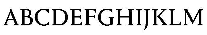 Portrait Text Regular No 2 Font UPPERCASE