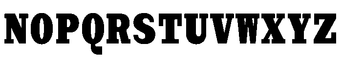 Post TRIAL MonoHeavy Instance Font UPPERCASE