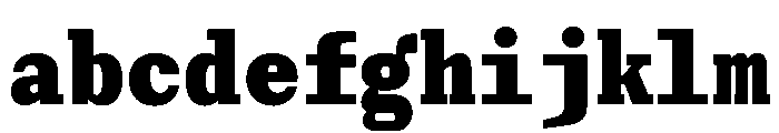 Post TRIAL MonoHeavy Instance FONT
