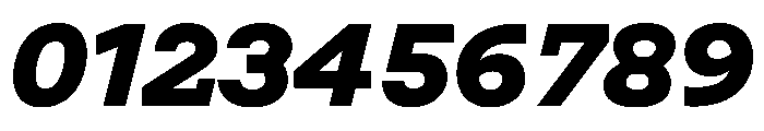 Post TRIAL TWHeavyItalic Instance Font OTHER CHARS