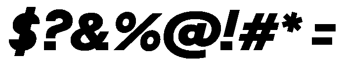 Post TRIAL TWHeavyItalic Instance Font OTHER CHARS