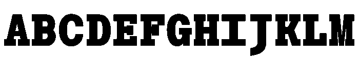 Post TRIAL TWMonoHeavy Instance Font UPPERCASE
