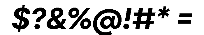 Point Bold Italic Font OTHER CHARS