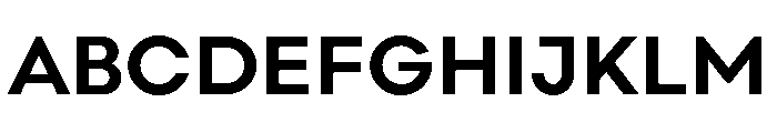 Point Bold Font UPPERCASE
