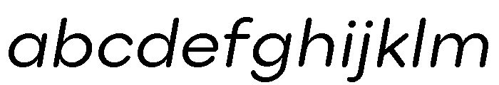 Point Soft Book Italic FONT
