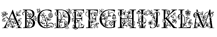 Posies Initial FONT