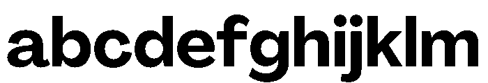 PPAgrandir Bold Instance FONT