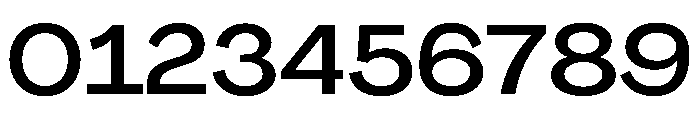 PPAgrandir WideMedium Instance Font OTHER CHARS