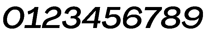 PPAgrandir WideMediumItalic Instance Font OTHER CHARS
