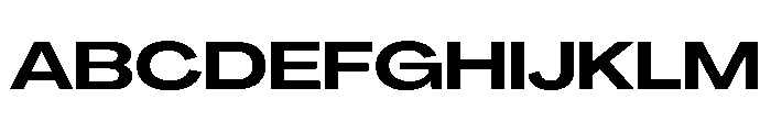 PPAgrandirGrand Bold Instance Font UPPERCASE