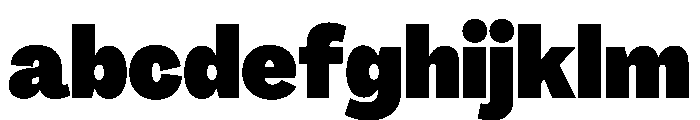 PPAgrandirNarrow Black Instance FONT