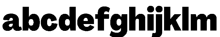 PPAgrandirNarrow Heavy Instance FONT