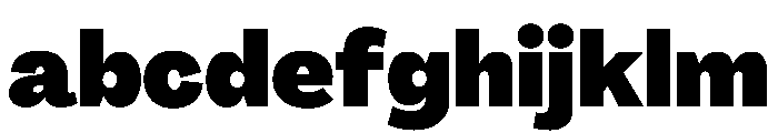 PPAgrandirNormal Black Instance FONT