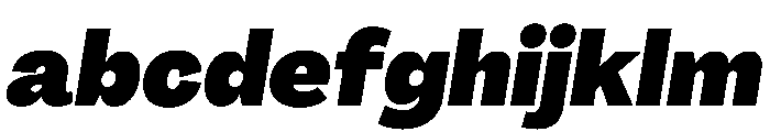 PPAgrandirNormal BlackItalic Instance FONT