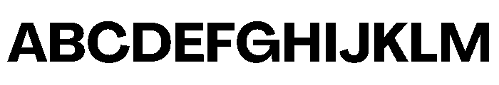 PPAgrandirNormal Bold Instance Font UPPERCASE