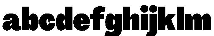 PPAgrandirTight Black Instance FONT