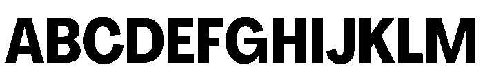 PPAgrandirTight Bold Instance Font UPPERCASE