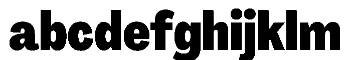 PPAgrandirTight Heavy Instance FONT