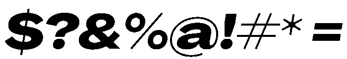 PPAgrandirWide HeavyItalic Instance Font OTHER CHARS