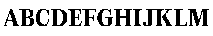 PPEditorialNew Bold Instance Font UPPERCASE