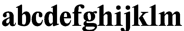 PPEditorialNew Bold Instance FONT