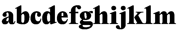 PPEditorialNew Heavy Instance FONT