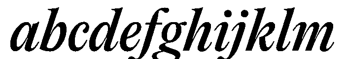 PPEditorialNew MediumItalic Instance FONT
