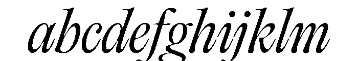 PPEditorialOld LightItalic Instance FONT