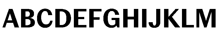 PPEditorialSans Bold Instance Font UPPERCASE