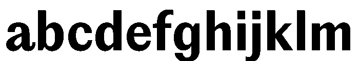 PPEditorialSans Bold Instance FONT