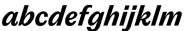PPEditorialSans BoldItalic Instance FONT