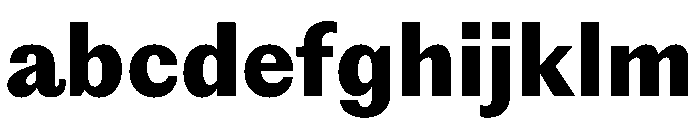 PPEditorialSans Heavy Instance FONT