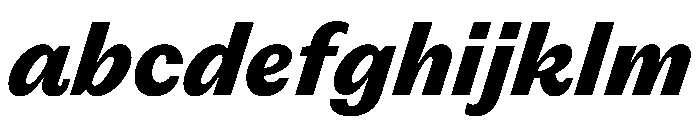 PPEditorialSans HeavyItalic Instance FONT