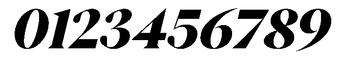 PPEikoItalic Black Instance Font OTHER CHARS