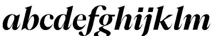 PPEikoItalic Bold Instance FONT